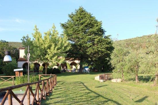 Agriturismo San Valentino Amelia Bagian luar foto